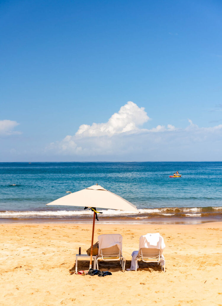 hawaii beach umbrella