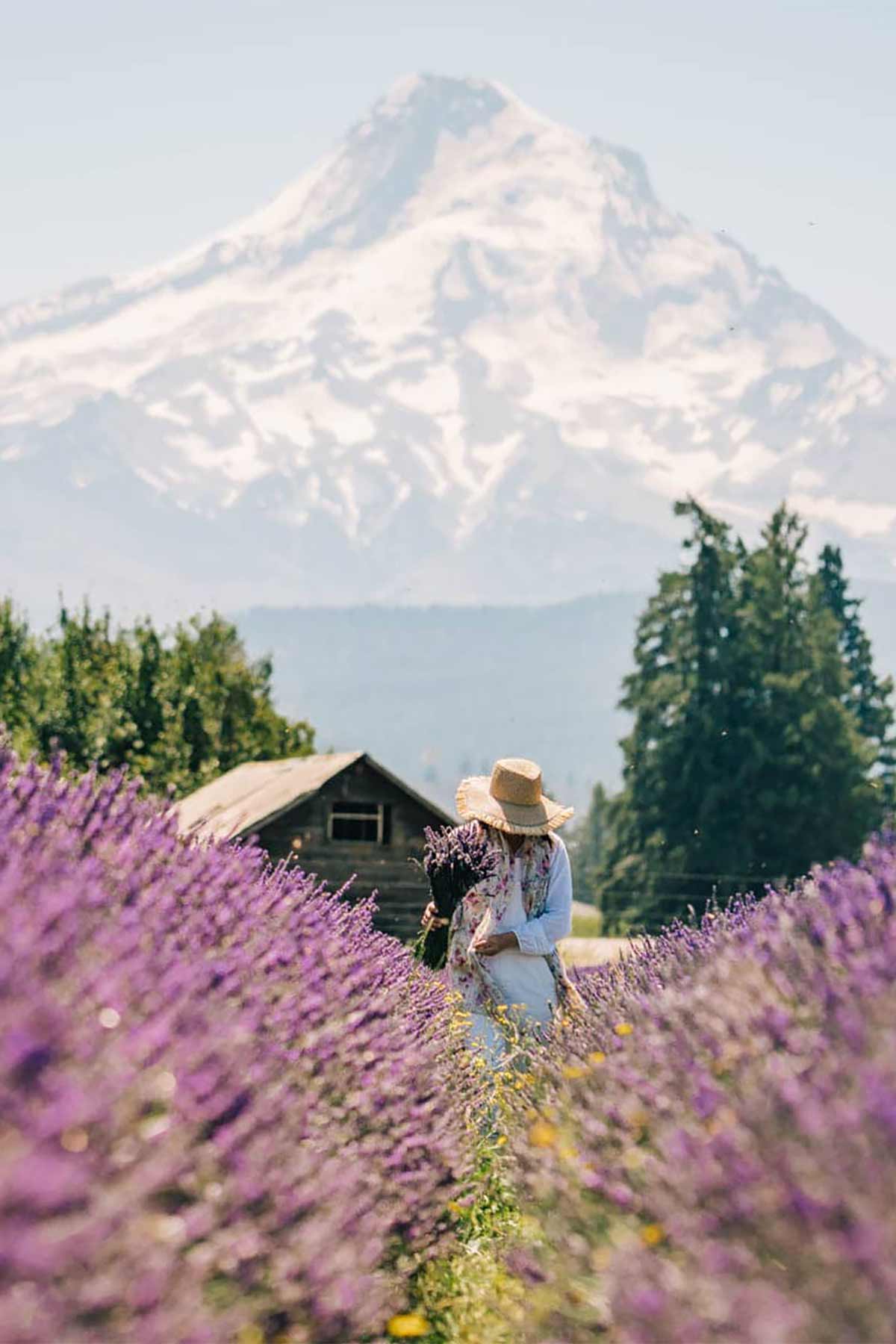 embrace someplace